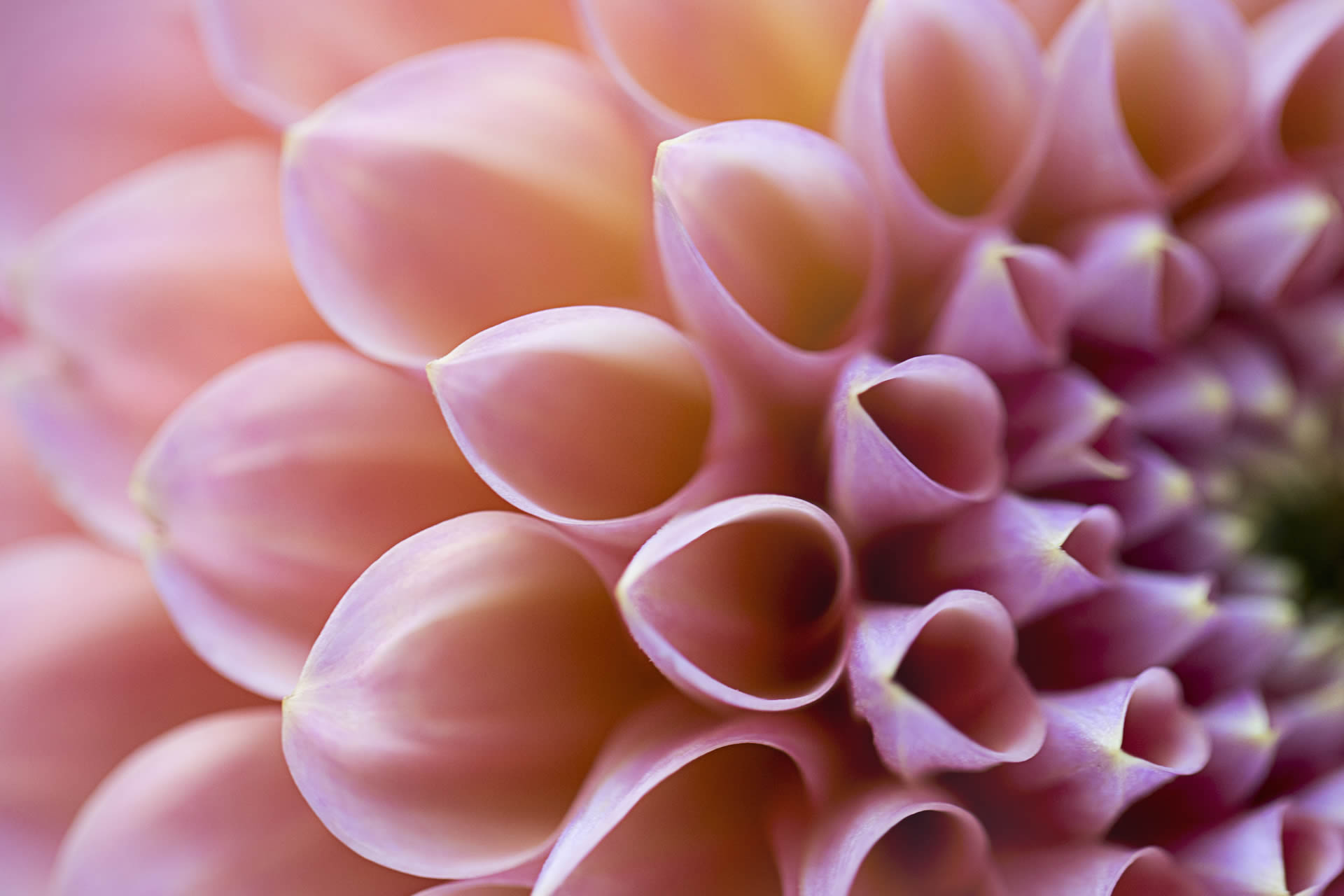 Agile,Data Democratization and a Internal Salary Comparison Tool